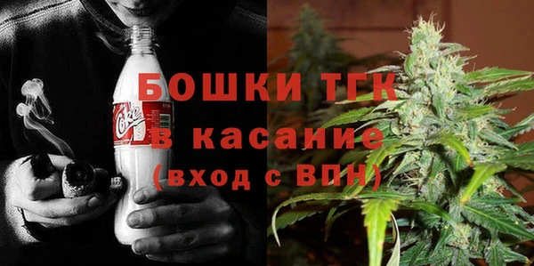прущие грибы Армянск