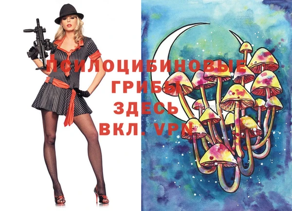 ПСИЛОЦИБИНОВЫЕ ГРИБЫ Сатка