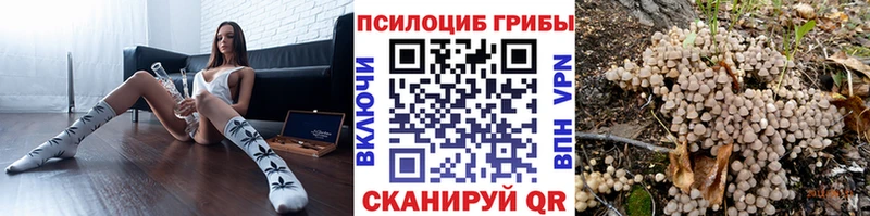 mega рабочий сайт  где продают наркотики  Снежногорск  Псилоцибиновые грибы MAGIC MUSHROOMS 
